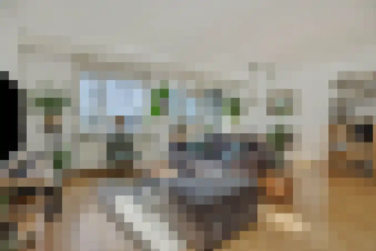 Maaspoortweg 329 's-Hertogenbosch thumbnail 5