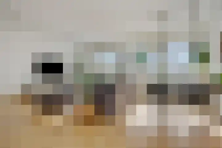 Maaspoortweg 329 's-Hertogenbosch thumbnail 6
