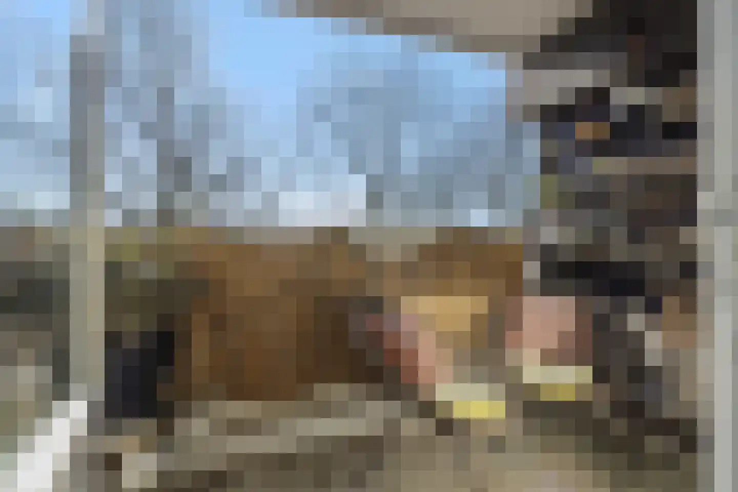Maaspoortweg 329 's-Hertogenbosch thumbnail 7