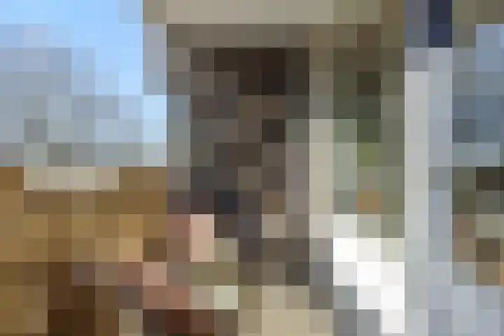 Maaspoortweg 329 's-Hertogenbosch thumbnail 8