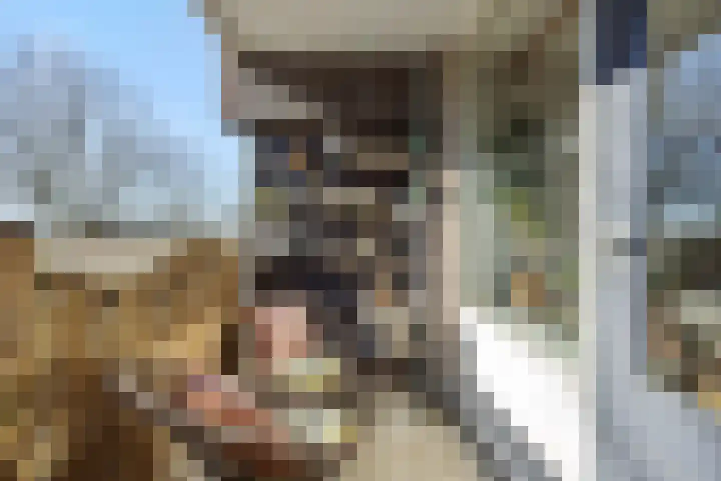 Maaspoortweg 329 's-Hertogenbosch thumbnail 8