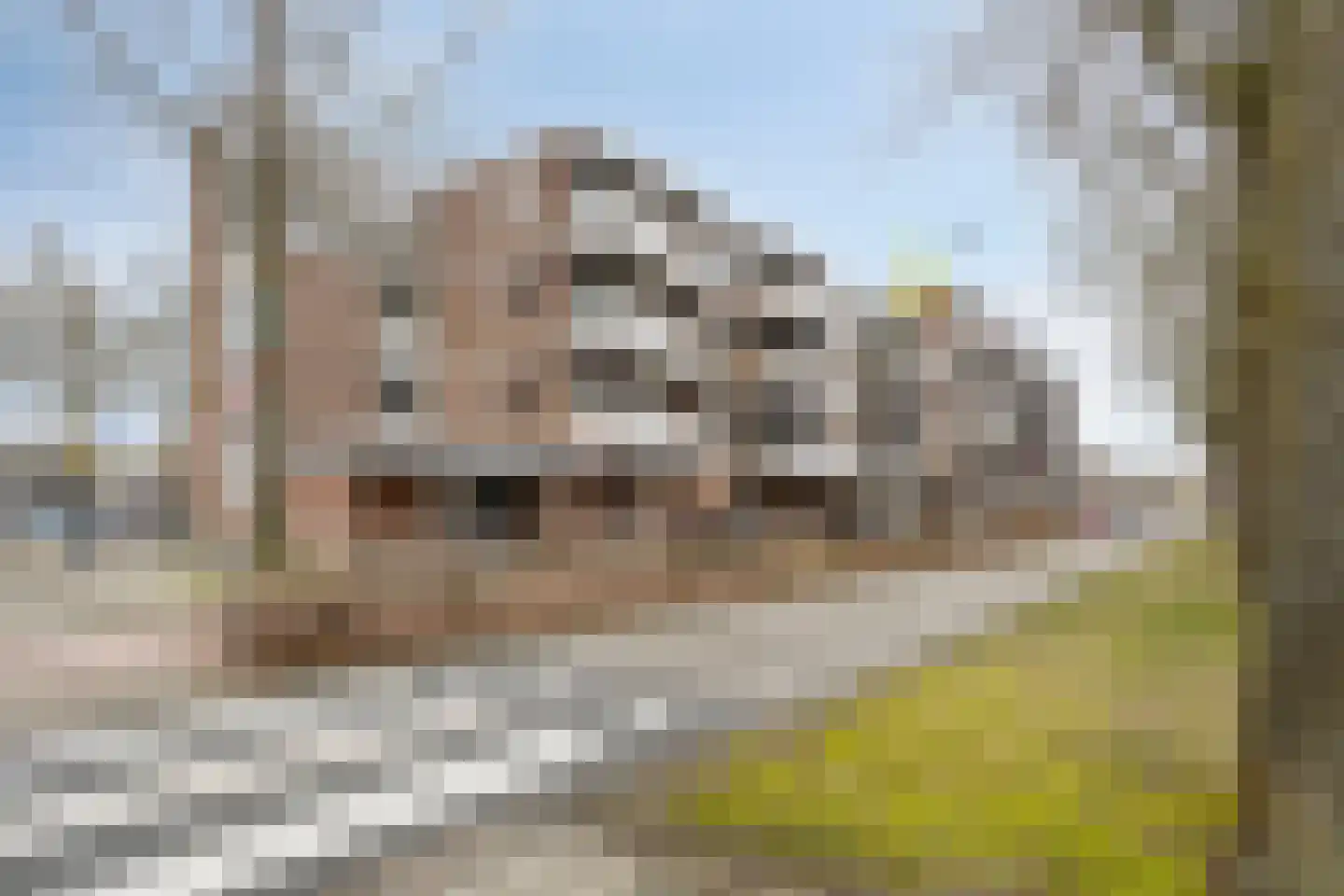 Maaspoortweg 343 's-Hertogenbosch