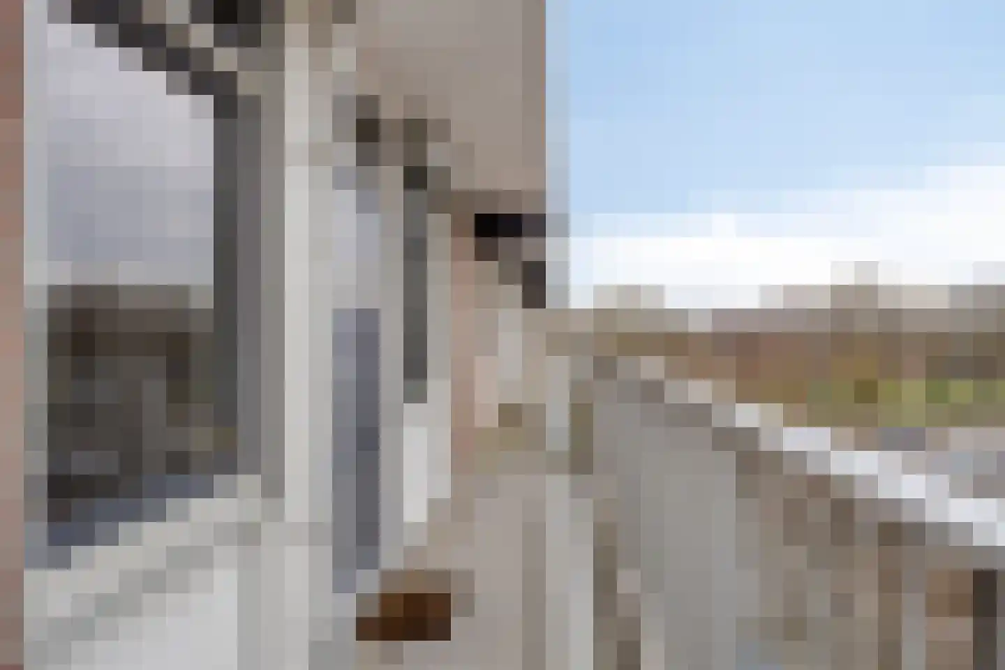 Maaspoortweg 343 's-Hertogenbosch thumbnail 10