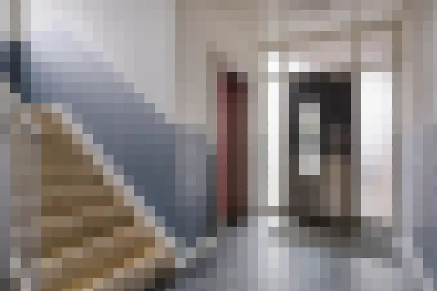 Maaspoortweg 343 's-Hertogenbosch thumbnail 8
