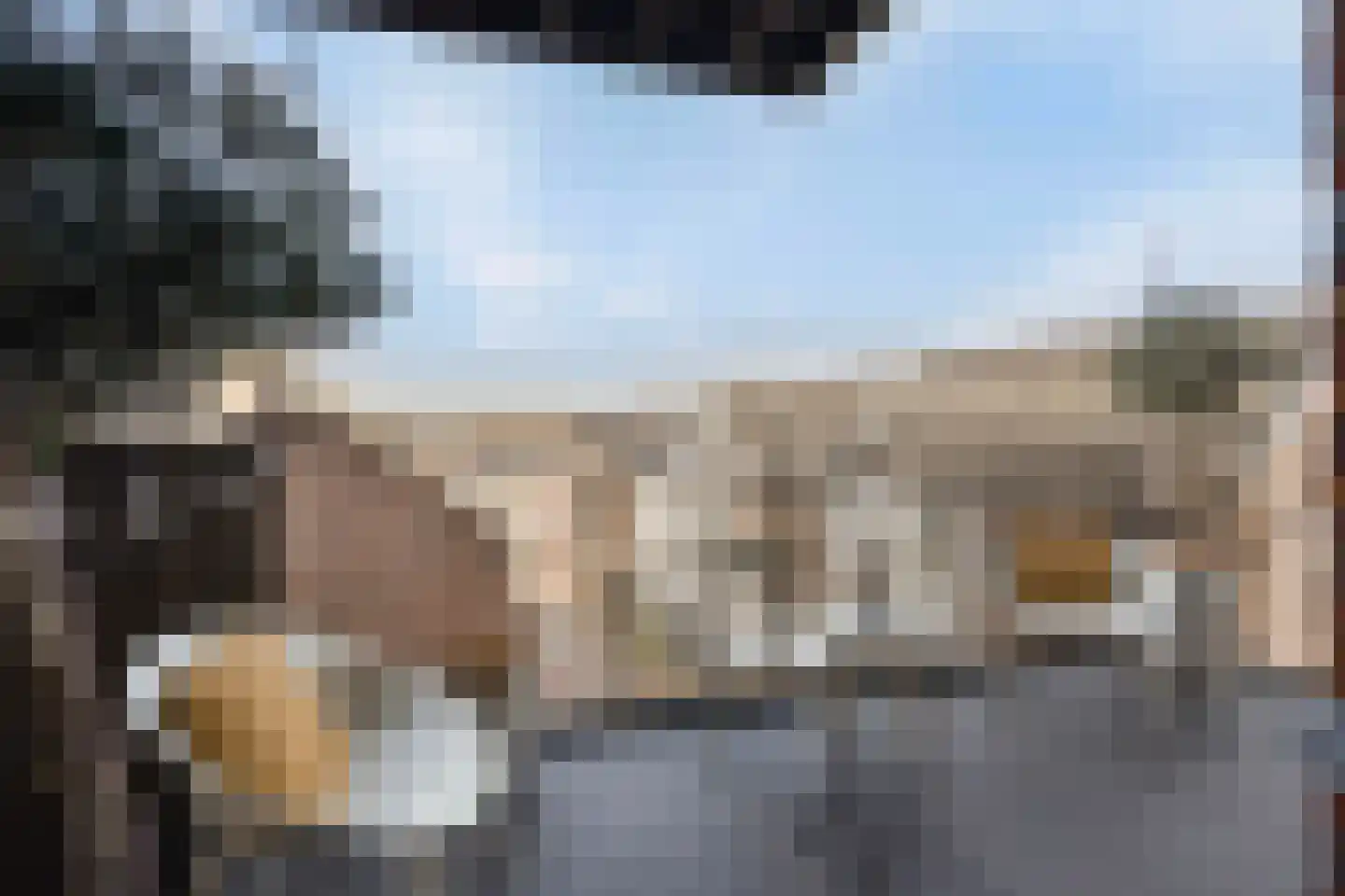 Maasschriksel 157 Venlo thumbnail 16