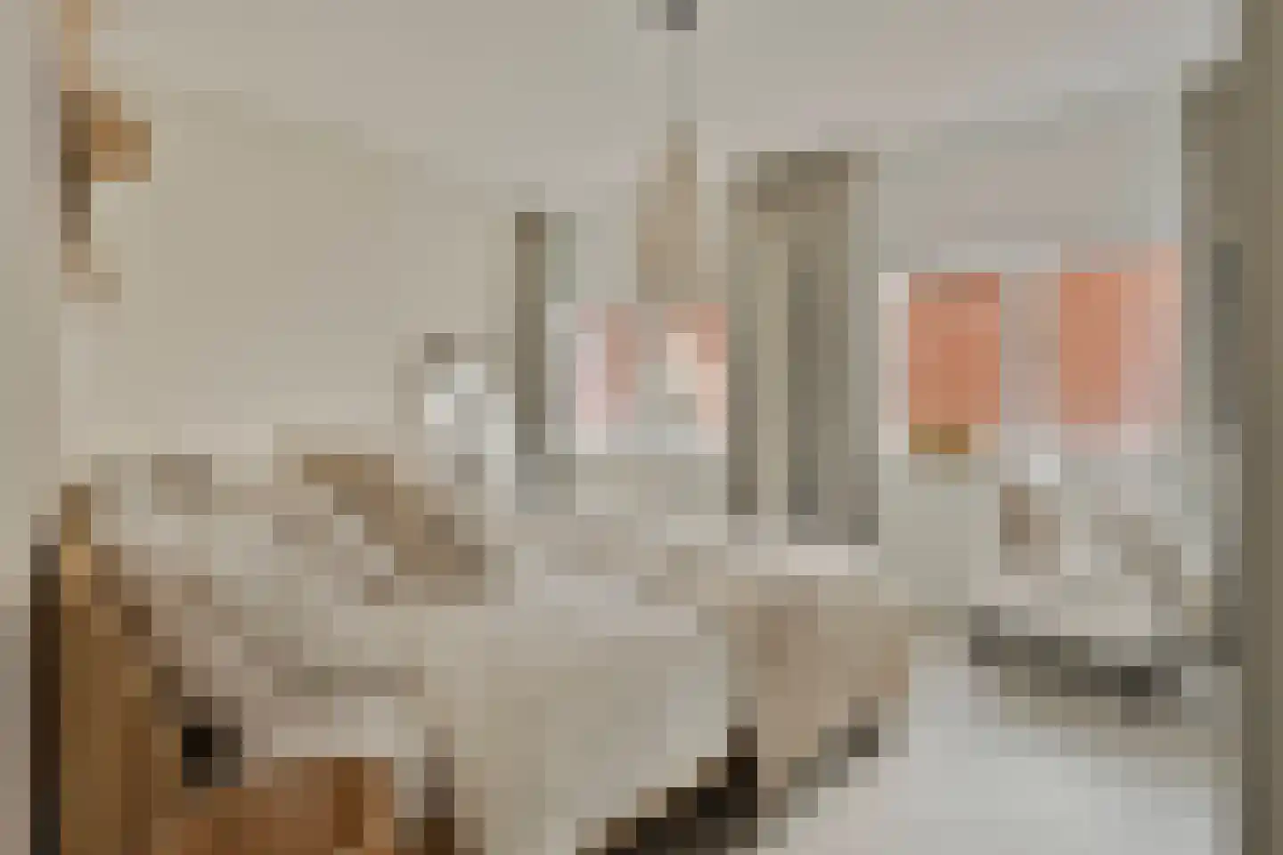Maasschriksel 157 Venlo thumbnail 20