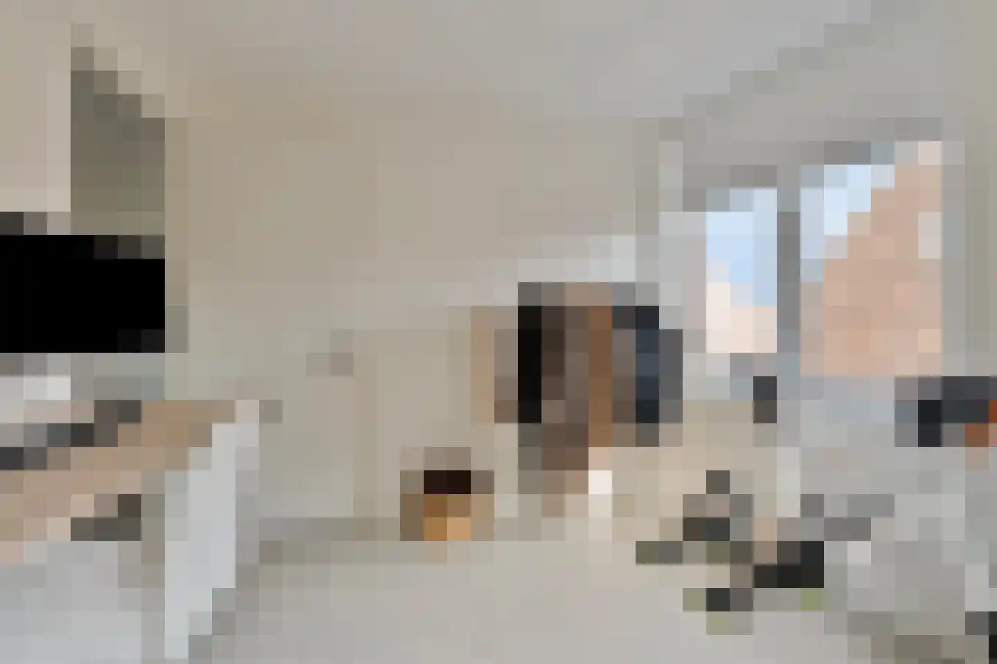 Maasschriksel 157 Venlo thumbnail 29