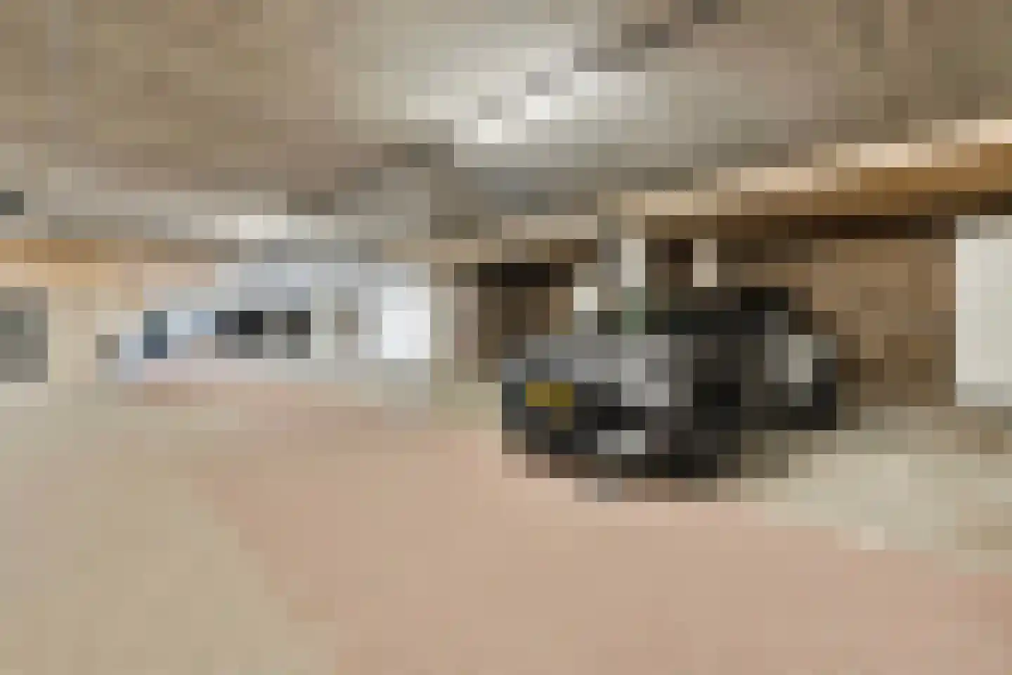 Maasschriksel 157 Venlo thumbnail 32