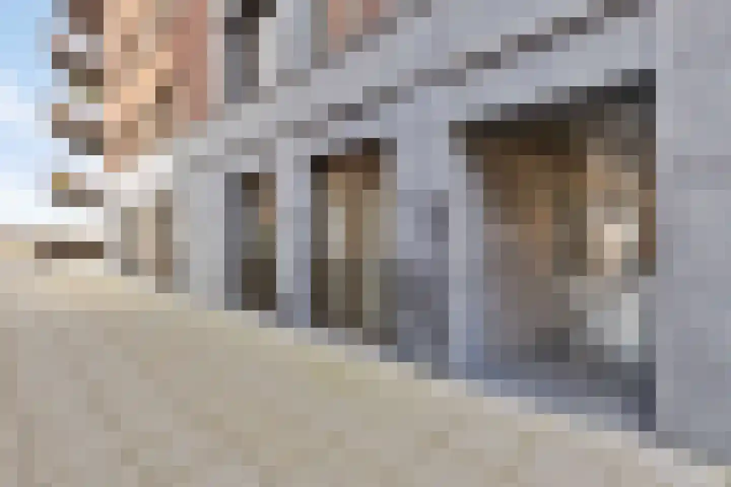 Maasschriksel 157 Venlo thumbnail 6