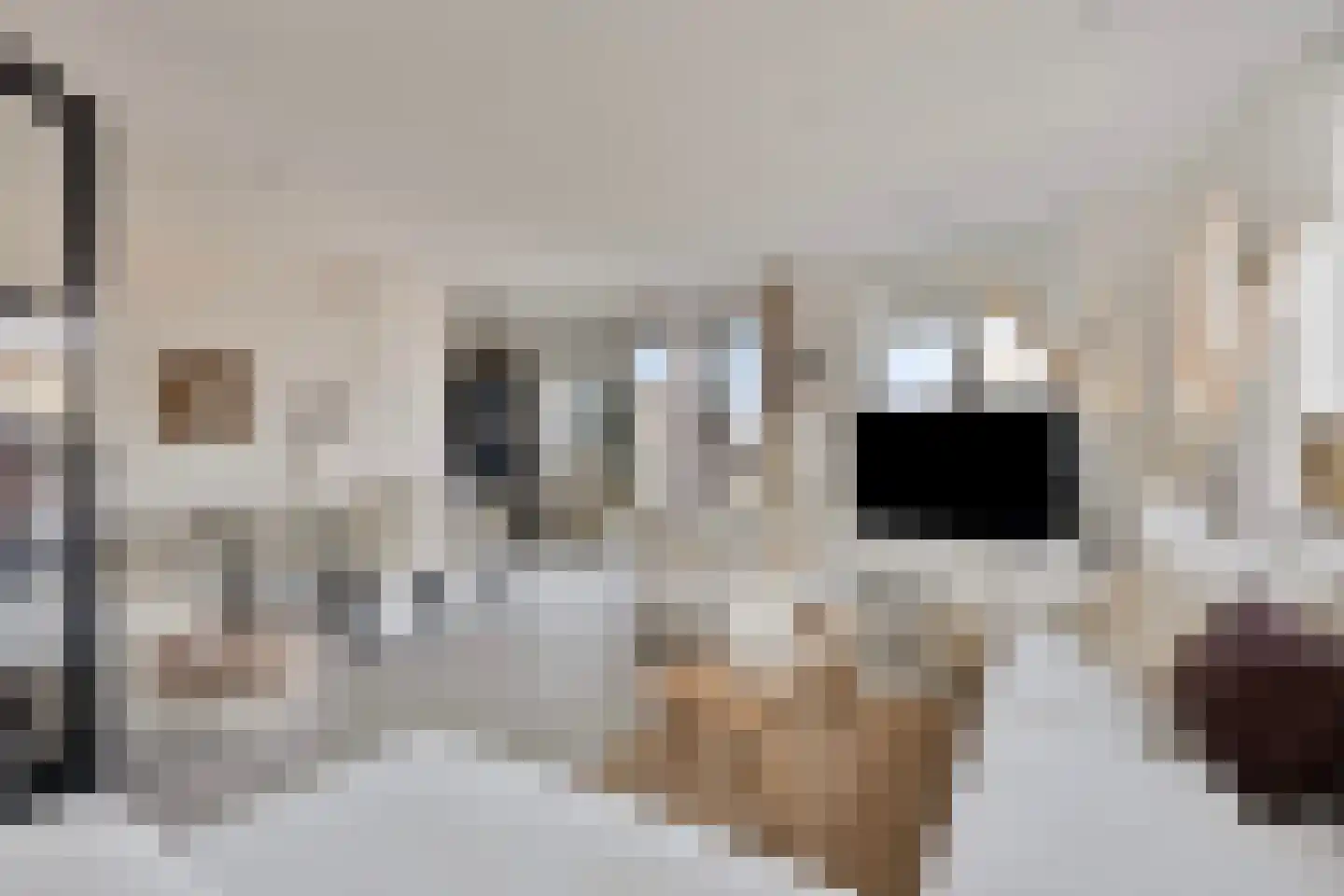 Maasschriksel 157 Venlo thumbnail 8