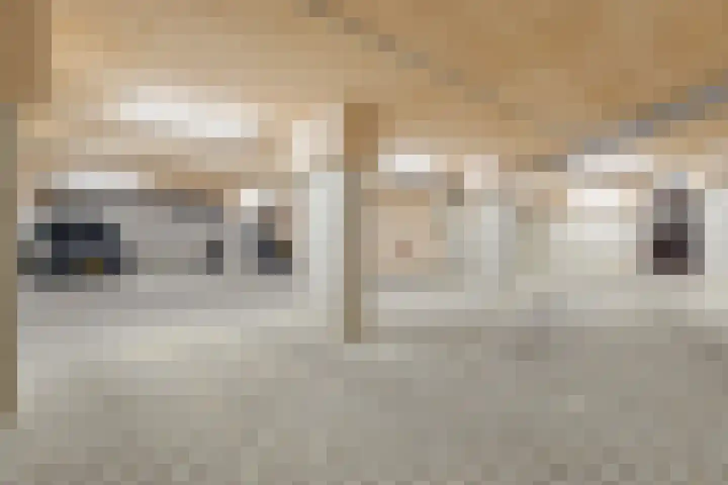 Maasschriksel 177 Venlo thumbnail 39