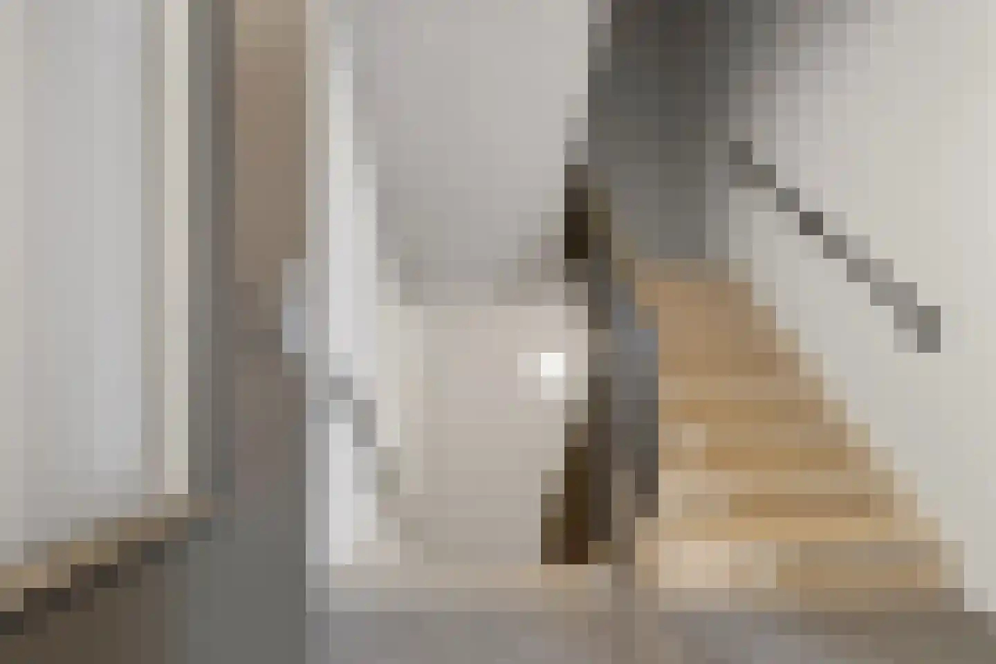 Maasschriksel 177 Venlo thumbnail 8
