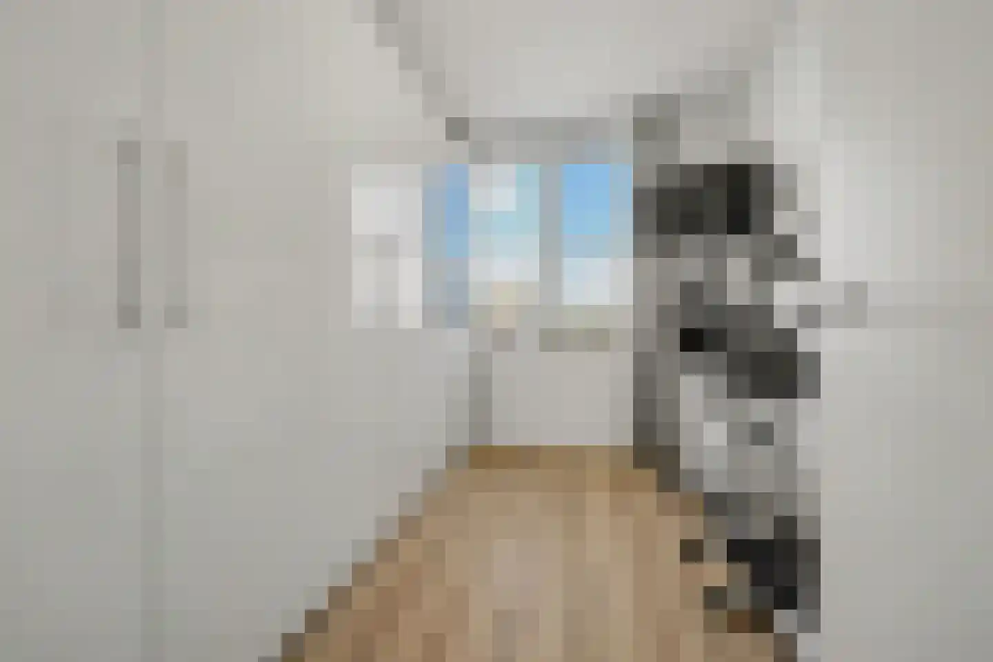 Maasschriksel 193 Venlo thumbnail 16