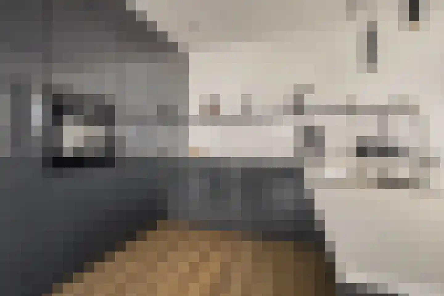 Maasschriksel 193 Venlo thumbnail 4