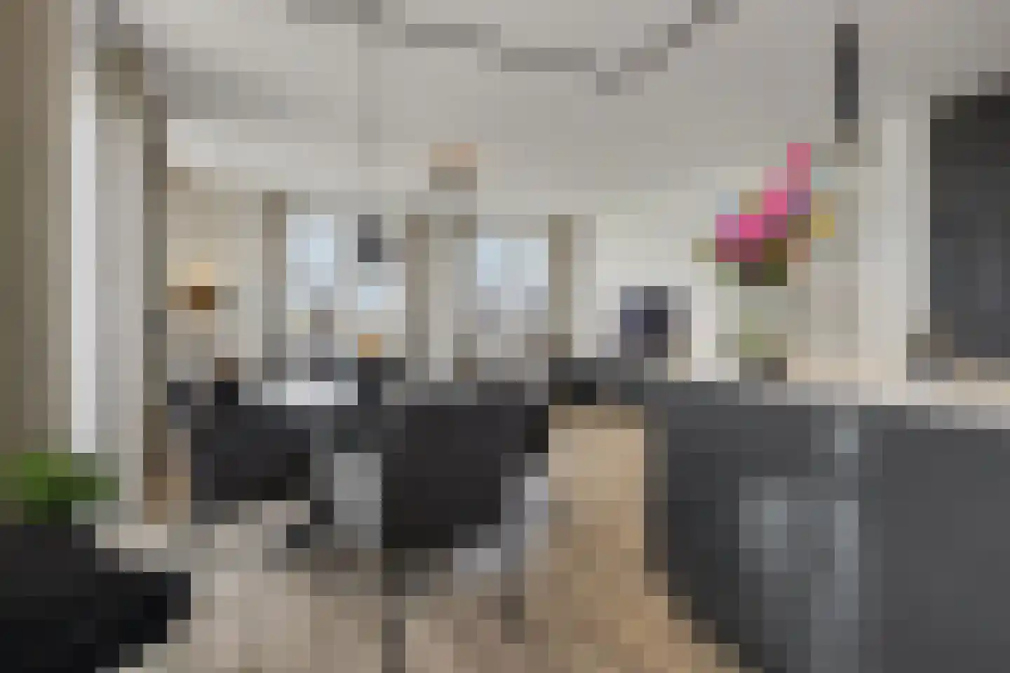 Maasschriksel 193 Venlo thumbnail 6