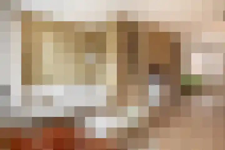Maasschriksel 85 Venlo thumbnail 11
