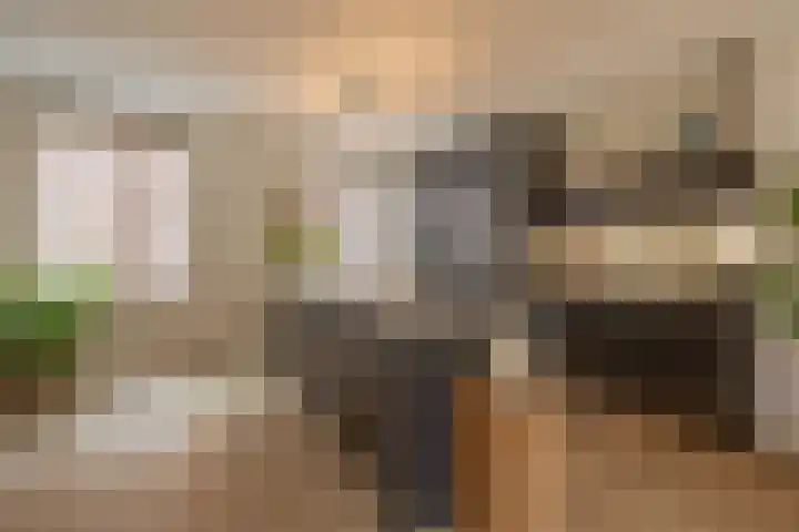 Maasschriksel 85 Venlo thumbnail 12
