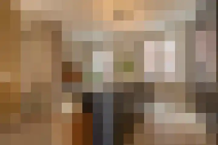 Maasschriksel 85 Venlo thumbnail 13