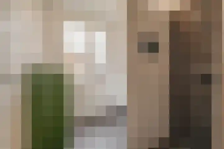 Maasschriksel 85 Venlo thumbnail 19