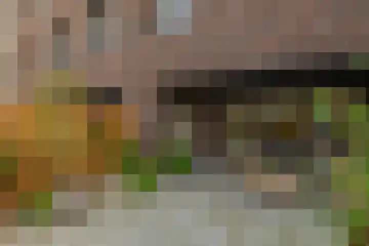 Maasschriksel 85 Venlo thumbnail 26