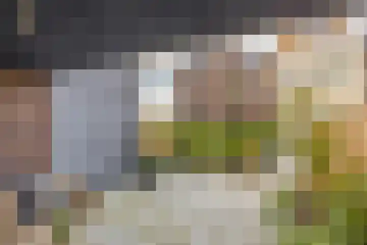 Maasschriksel 85 Venlo thumbnail 27