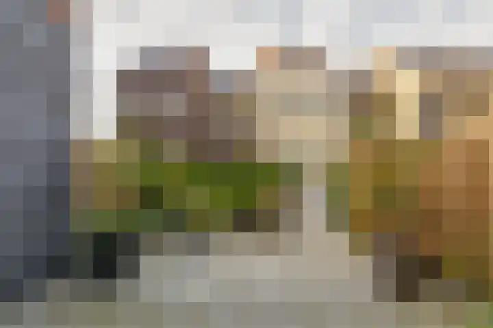 Maasschriksel 85 Venlo thumbnail 28
