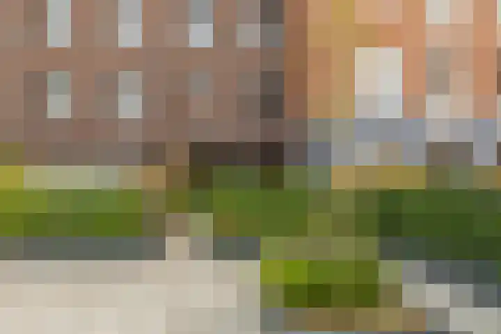 Maasschriksel 85 Venlo thumbnail 29