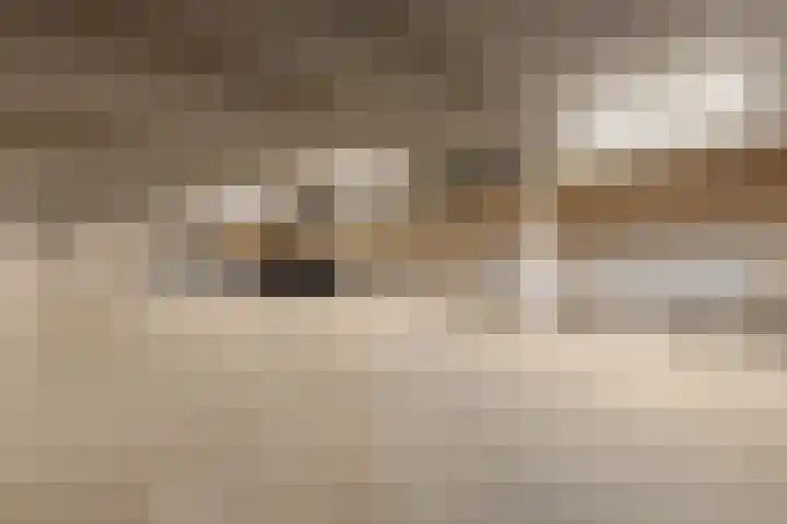 Maasschriksel 85 Venlo thumbnail 31