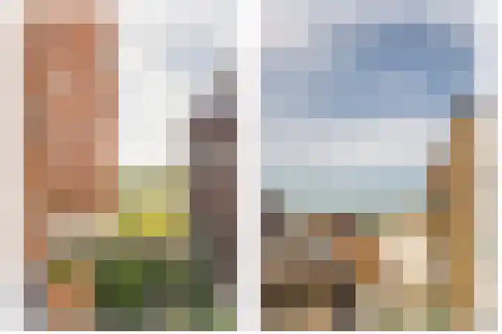 Maasschriksel 85 Venlo thumbnail 32