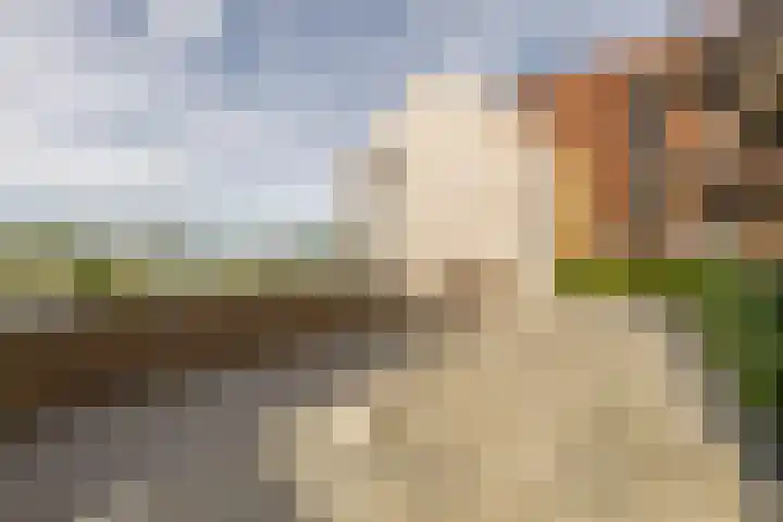 Maasschriksel 85 Venlo thumbnail 34