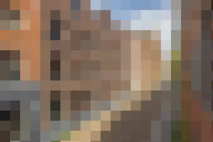 Maasschriksel 85 Venlo thumbnail 37