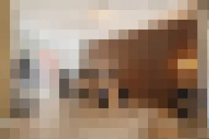 Maasschriksel 85 Venlo thumbnail 4