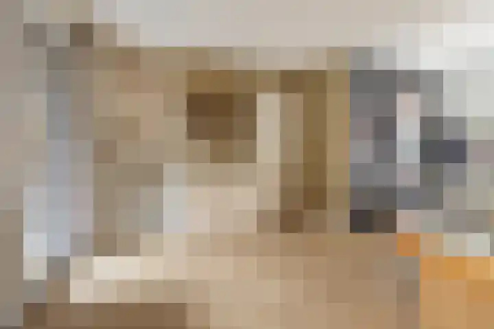Maasschriksel 85 Venlo thumbnail 5