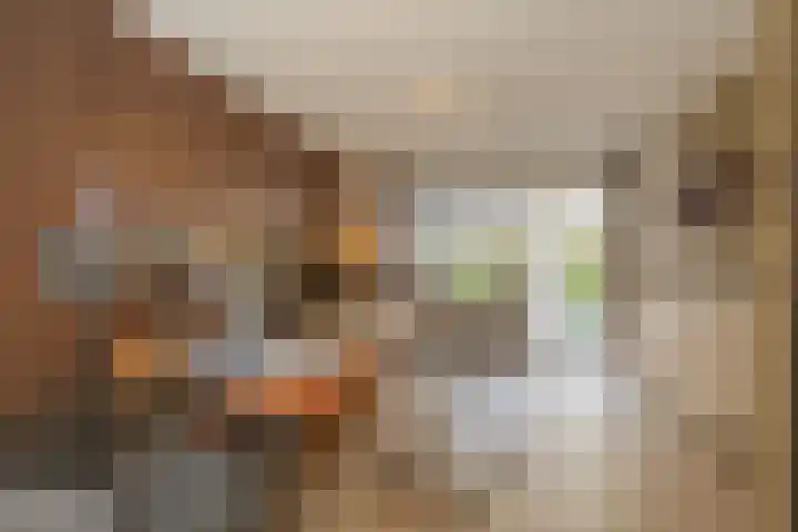 Maasschriksel 85 Venlo thumbnail 6