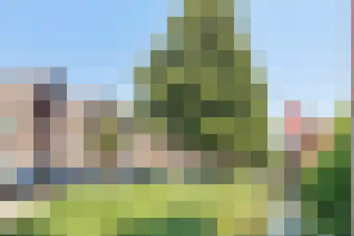 Maassingel 100 IJsselstein thumbnail 30
