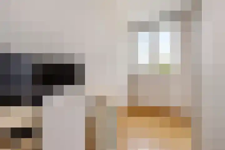 Maassingel 100 's-Hertogenbosch thumbnail 18