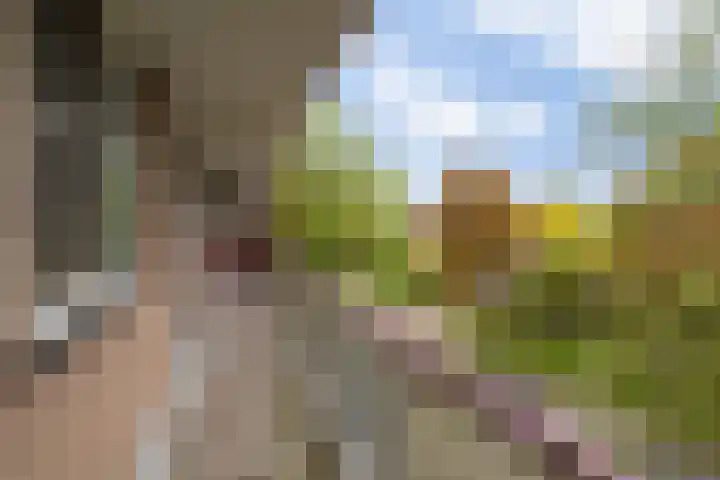 Maassingel 100 's-Hertogenbosch thumbnail 19