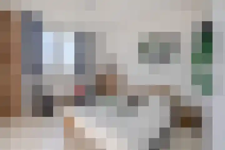 Maassingel 104 's-Hertogenbosch thumbnail 24