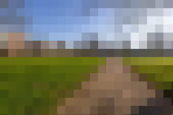 Maassingel 104 's-Hertogenbosch thumbnail 44