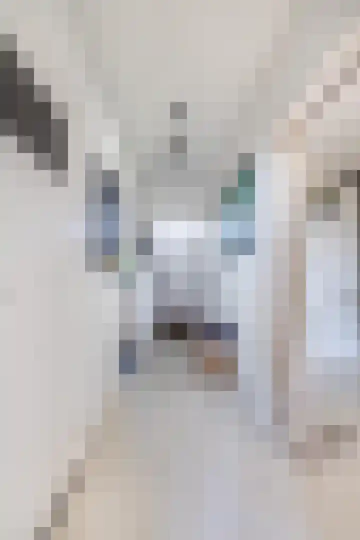Maassingel 104 's-Hertogenbosch thumbnail 8