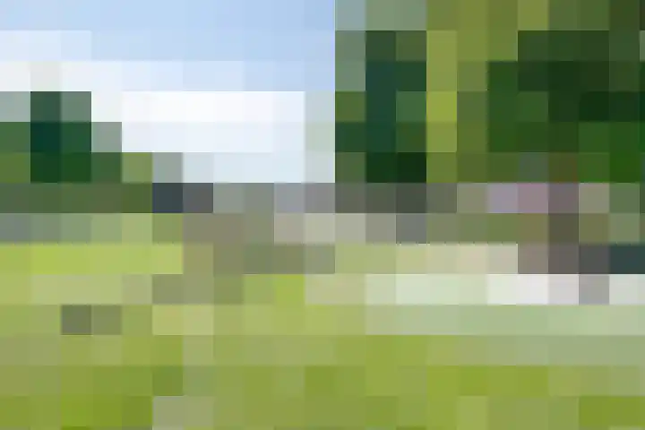 Maassingel 118 IJsselstein thumbnail 54