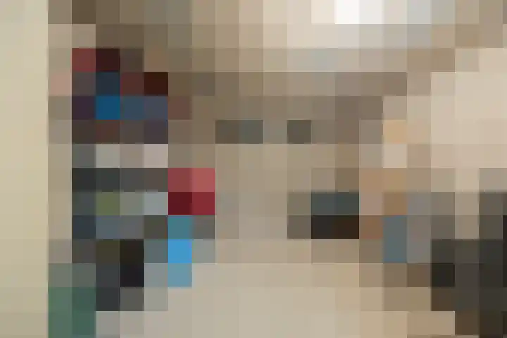 Maassingel 134 's-Hertogenbosch thumbnail 20