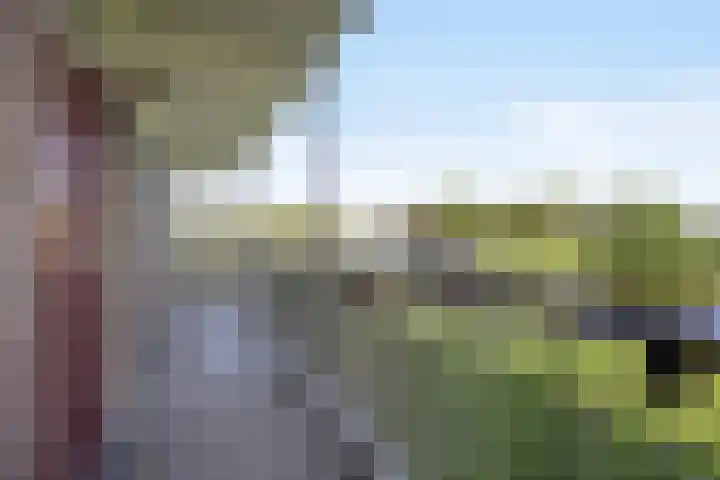 Maassingel 134 's-Hertogenbosch thumbnail 23