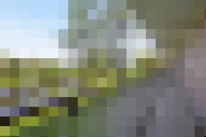 Maassingel 134 's-Hertogenbosch thumbnail 24