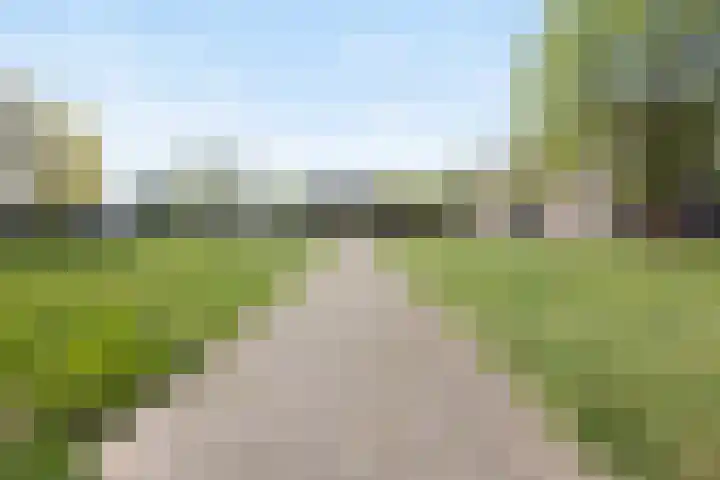 Maassingel 134 's-Hertogenbosch thumbnail 25