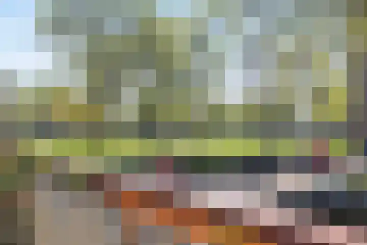 Maassingel 134 's-Hertogenbosch thumbnail 8