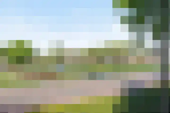Maassingel 134 's-Hertogenbosch thumbnail 9