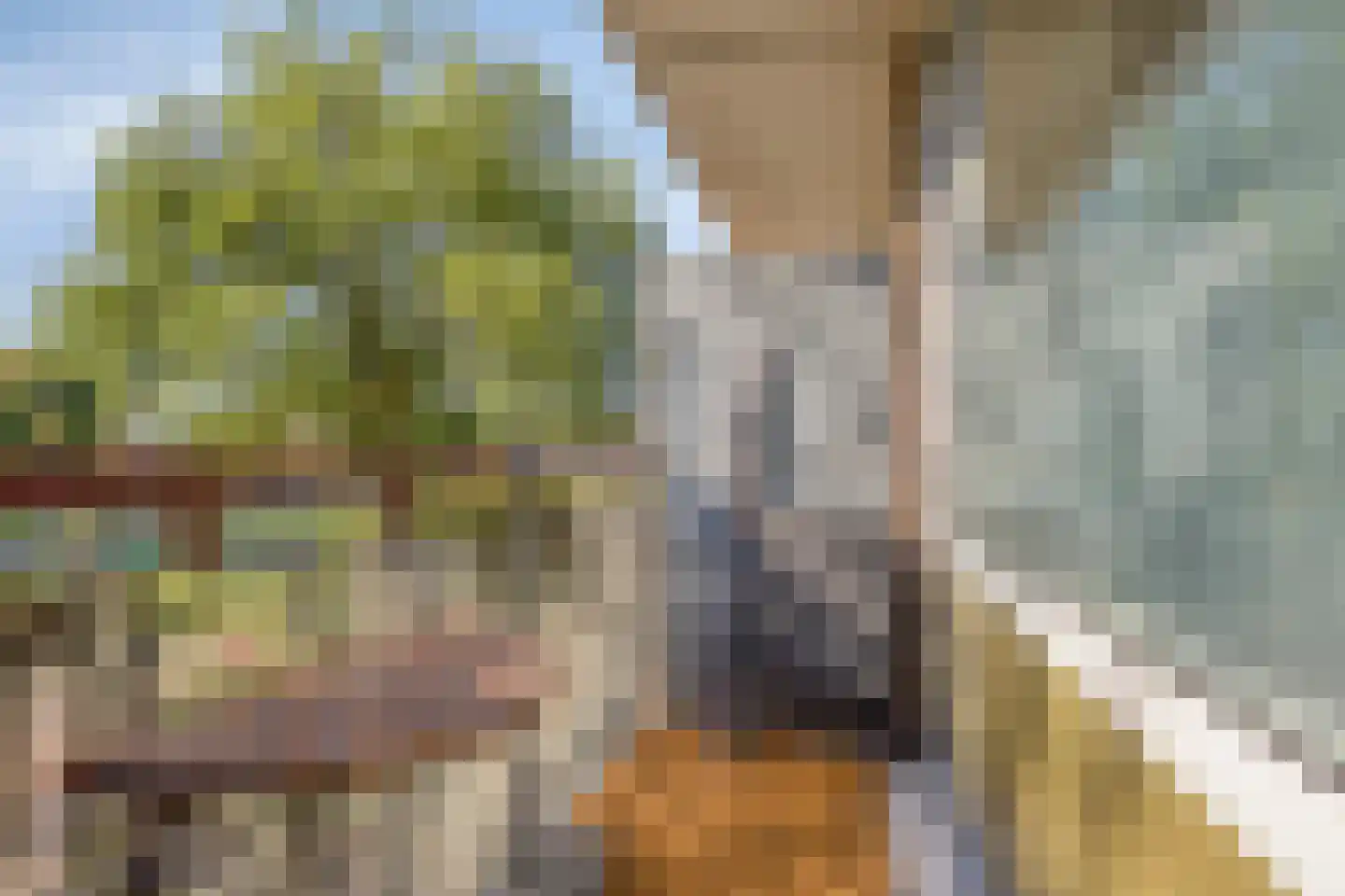 Maassingel 138 's-Hertogenbosch thumbnail 12