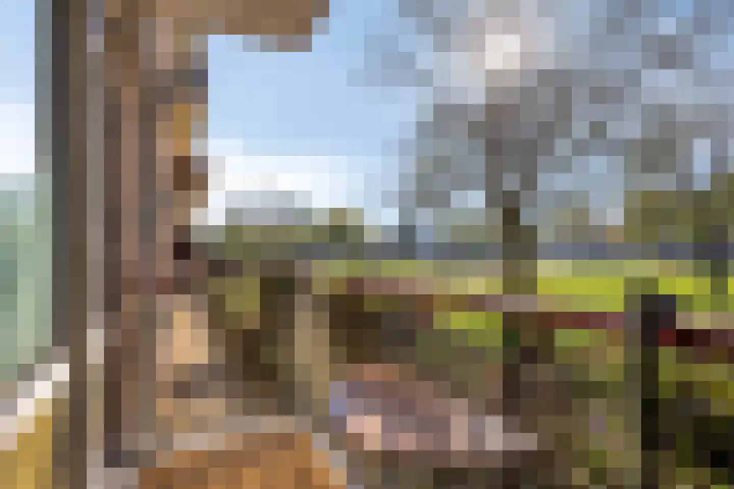 Maassingel 138 's-Hertogenbosch thumbnail 13
