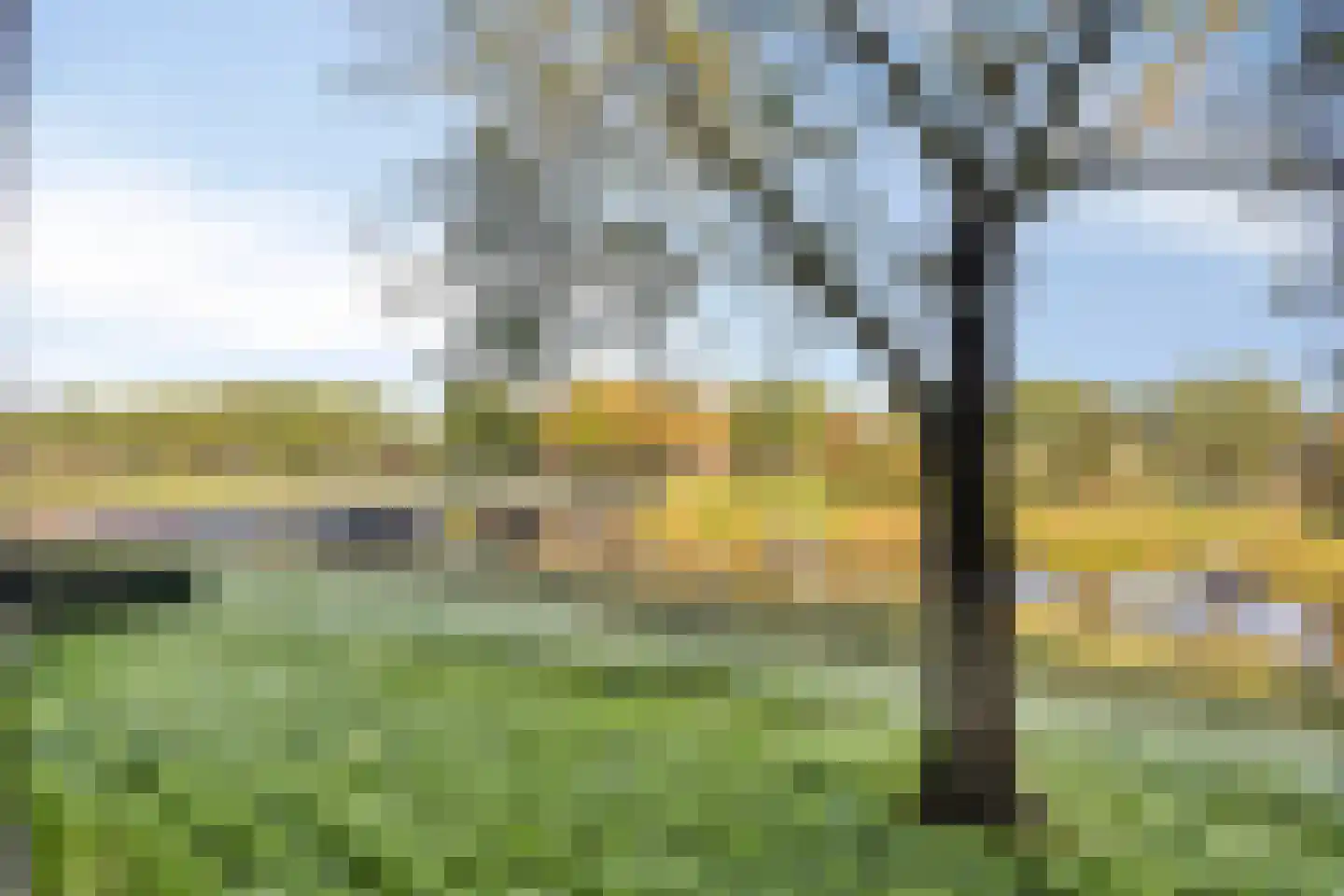 Maassingel 138 's-Hertogenbosch thumbnail 29
